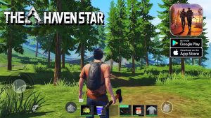 The Haven star