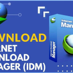 IDM Crack 6.42 Build 21 Patch + Serial Key Download avec crack gratuit 2024